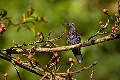 《后室》风格恐怖新游《Backrooms Society》登陆steam